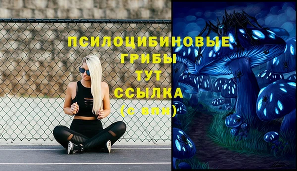 spice Зеленодольск
